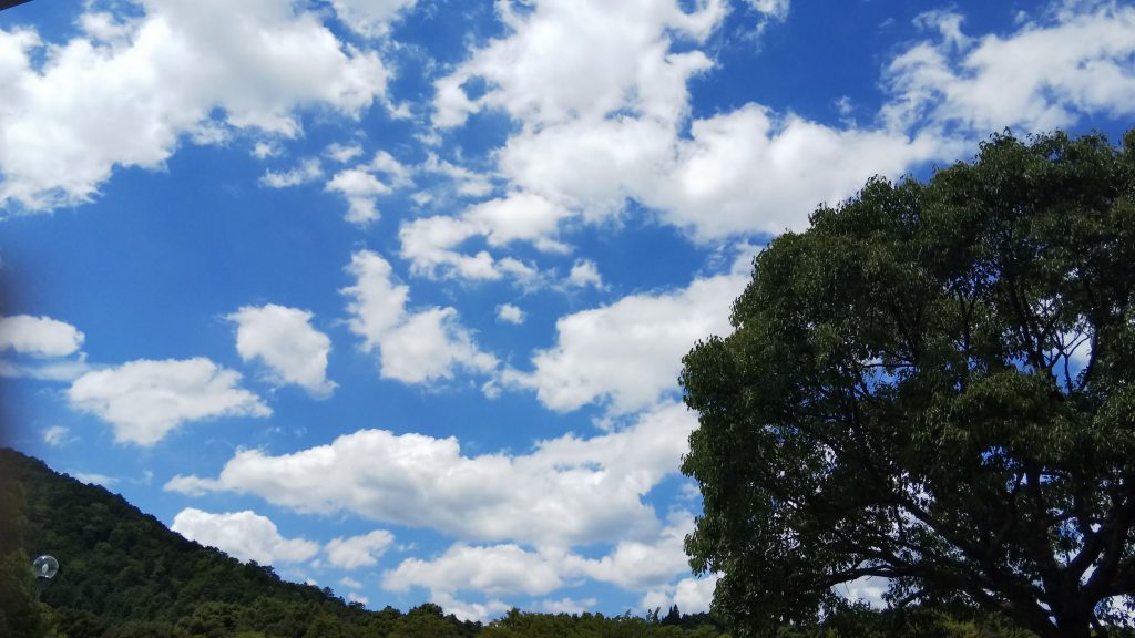 夏休み　２